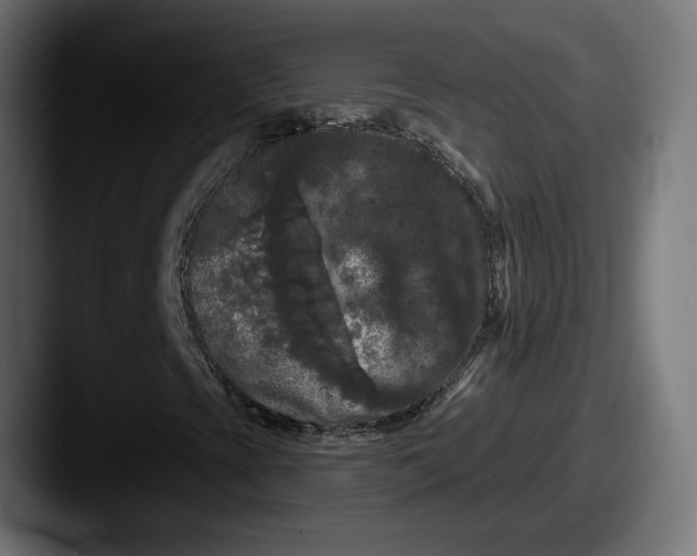 X0000087531393200705181022