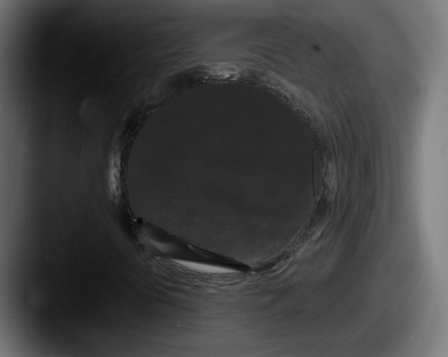 X0000087531394200705181022