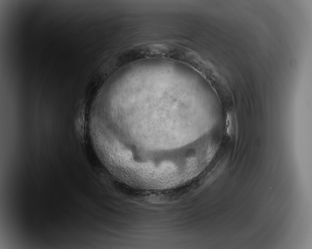 X0000087531395200705181022