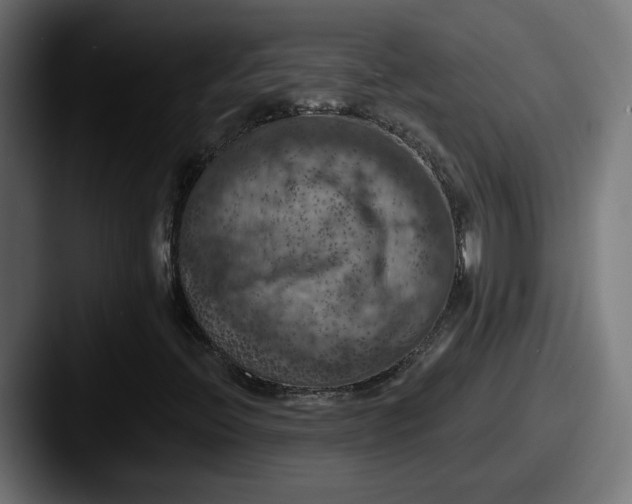 X0000087531396200705181022