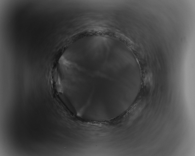 X0000087531397200705181022