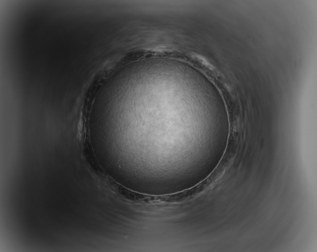 X0000087531398200705181022