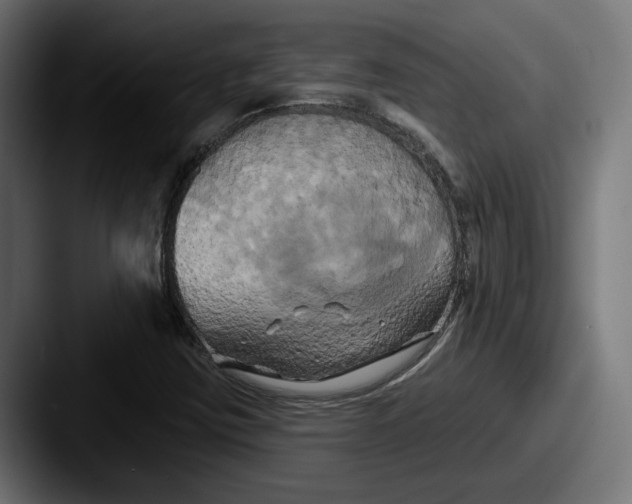 X0000087531403200705181022