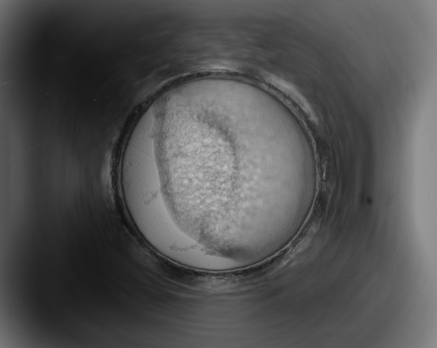 X0000087531404200705181022