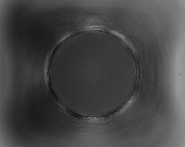 X0000087531405200705181022