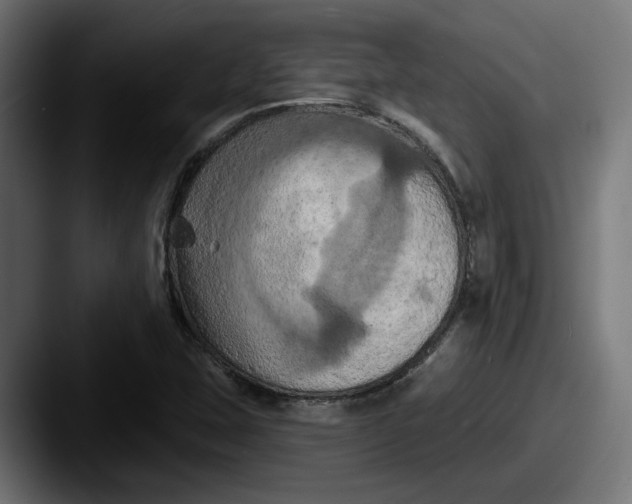 X0000087531407200705181022