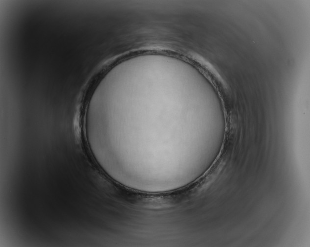 X0000087531408200705181022