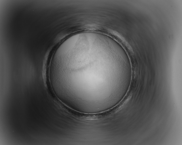 X0000087531410200705181022