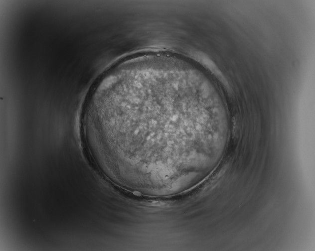 X0000087531412200705181022