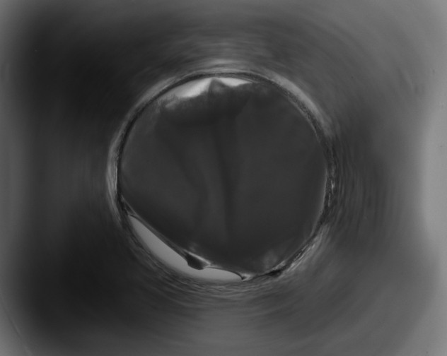 X0000087531413200705181022