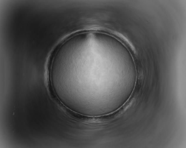 X0000087531414200705181022