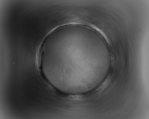 X0000087531415200705181022