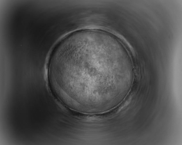 X0000087531416200705181022