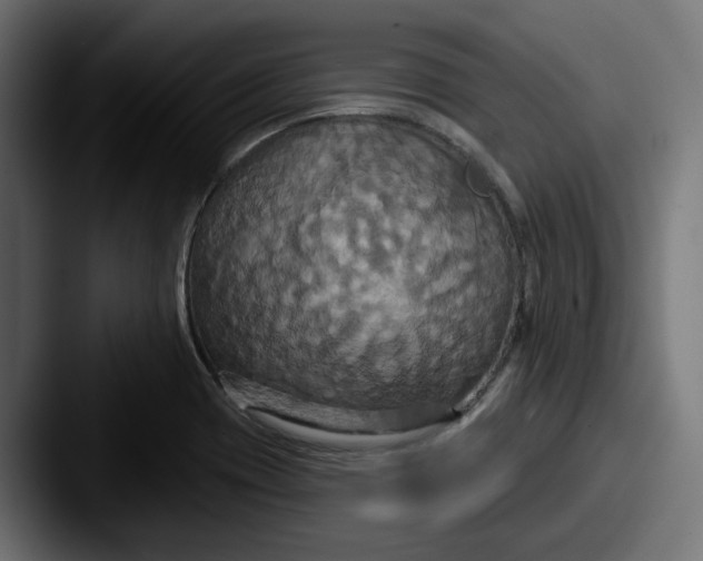 X0000087531417200705181022