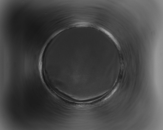 X0000087531418200705181022