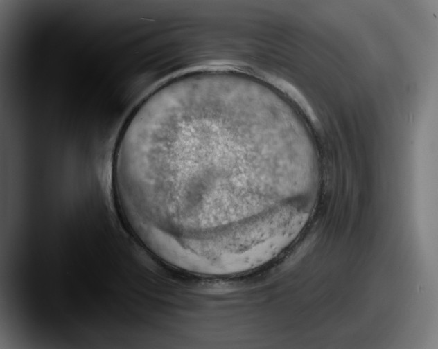 X0000087531420200705181022