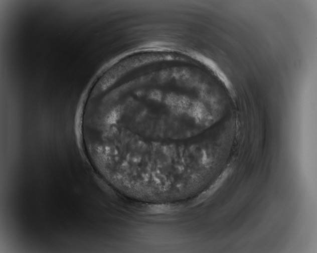 X0000087531421200705181022