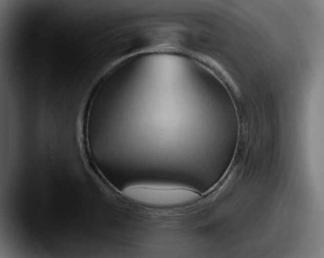 X0000087531422200705181022