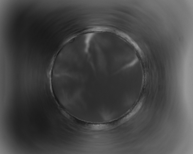 X0000087531425200705181022