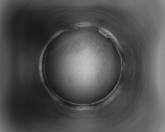 X0000087531426200705181022