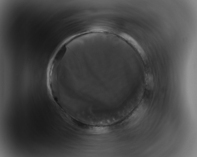 X0000087531427200705181022