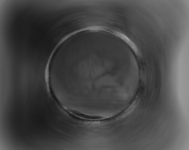 X0000087531428200705181022