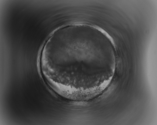 X0000087531429200705181022