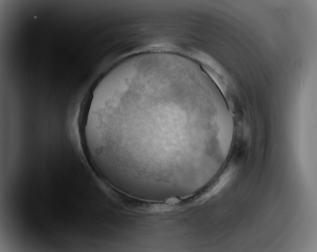 X0000087531430200705181022