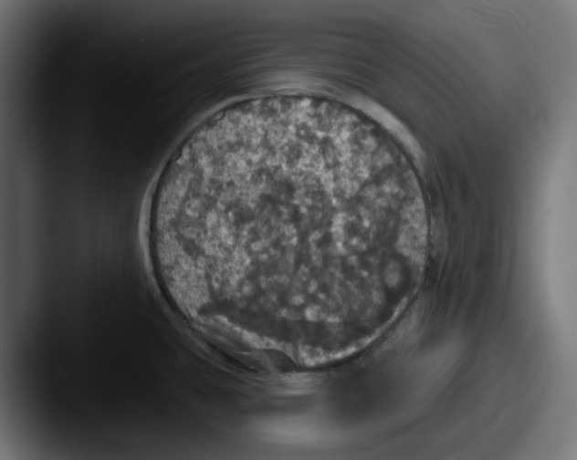 X0000087531431200705181022