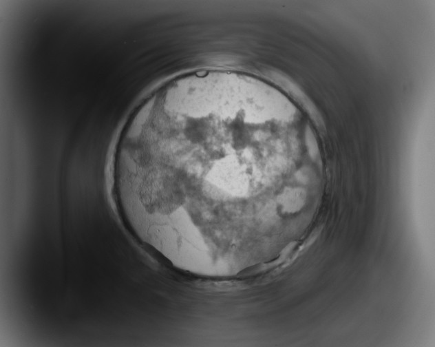 X0000087531432200705181022