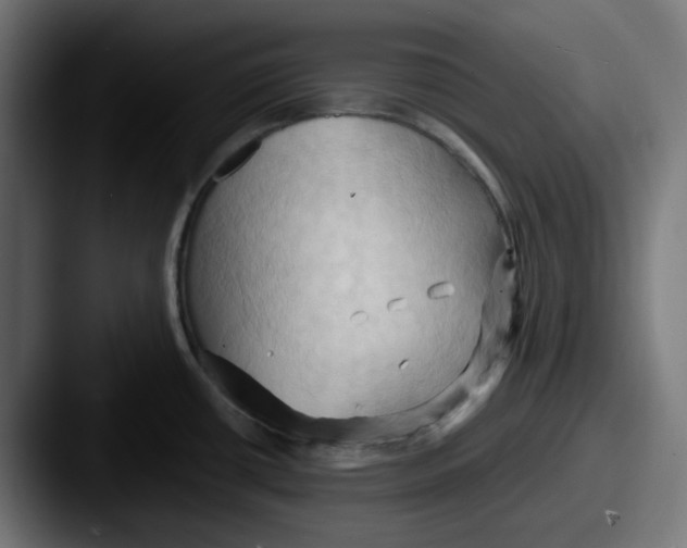 X0000087531434200705181022