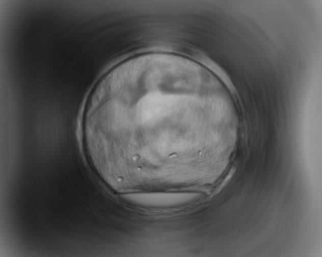 X0000087531436200705181022