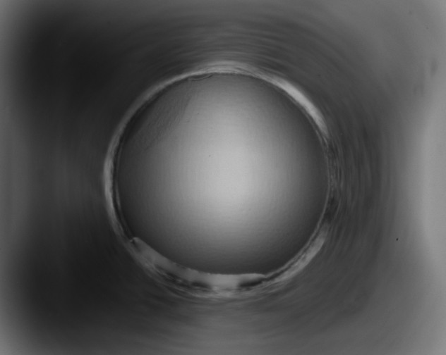 X0000087531438200705181022