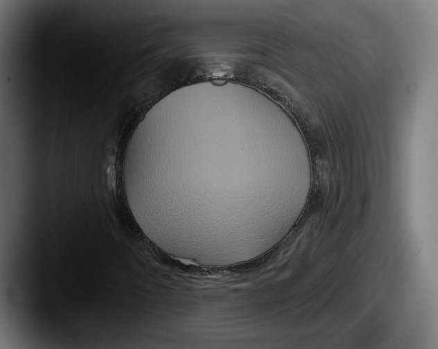 X0000087531442200705181022