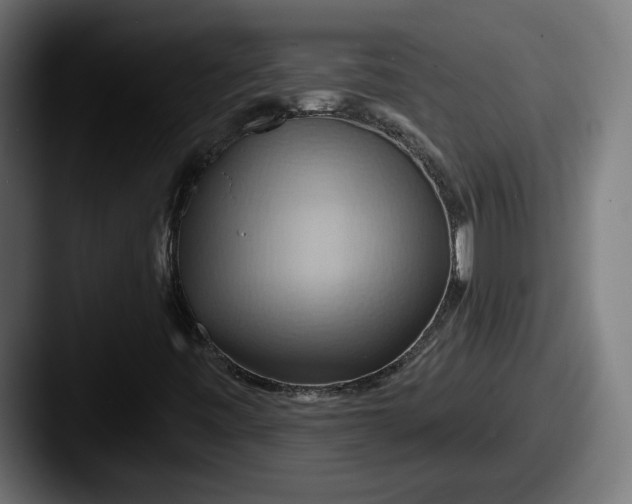 X0000087531443200705181022