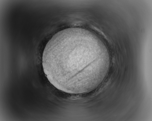 X0000087531447200705181022