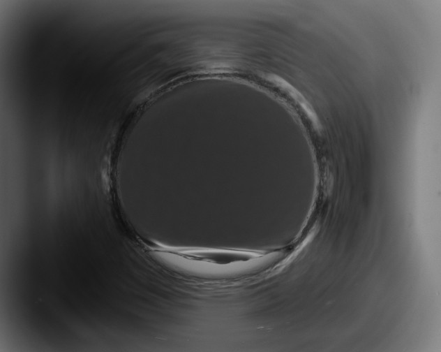 X0000087531449200705181022