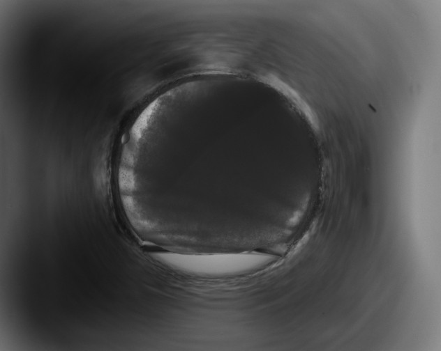 X0000087531450200705181022