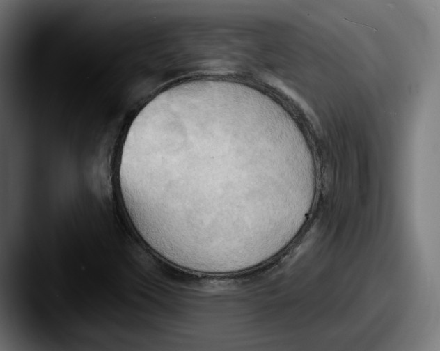 X0000087531451200705181022