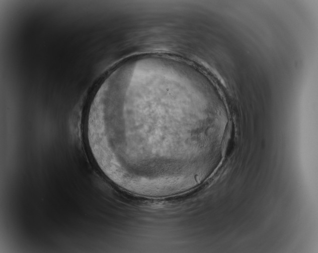 X0000087531452200705181022