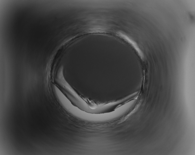 X0000087531453200705181022