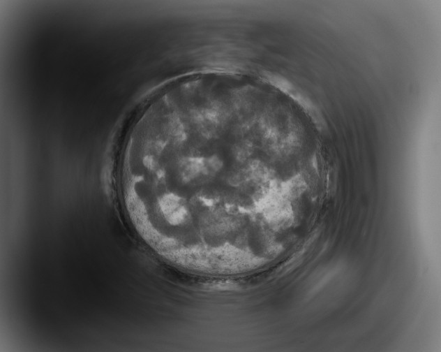 X0000087531454200705181022