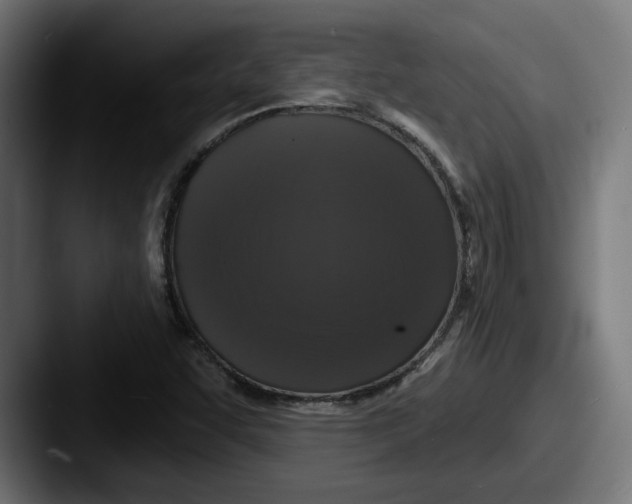 X0000087531455200705181022