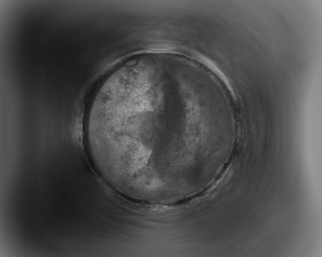 X0000087531456200705181022