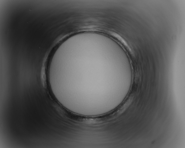 X0000087531458200705181022