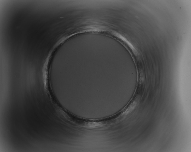 X0000087531459200705181022