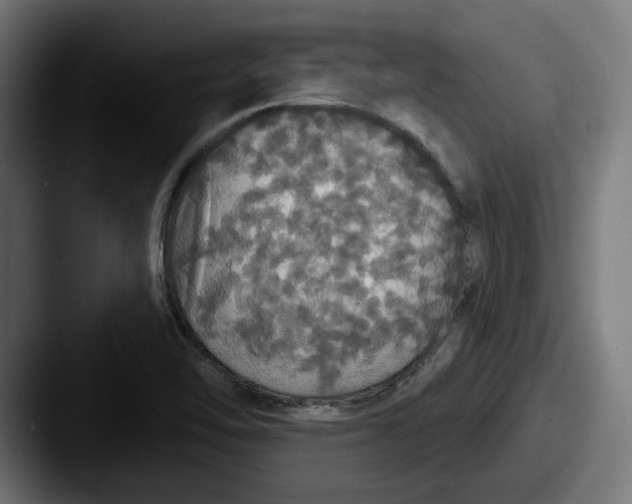 X0000087531462200705181022