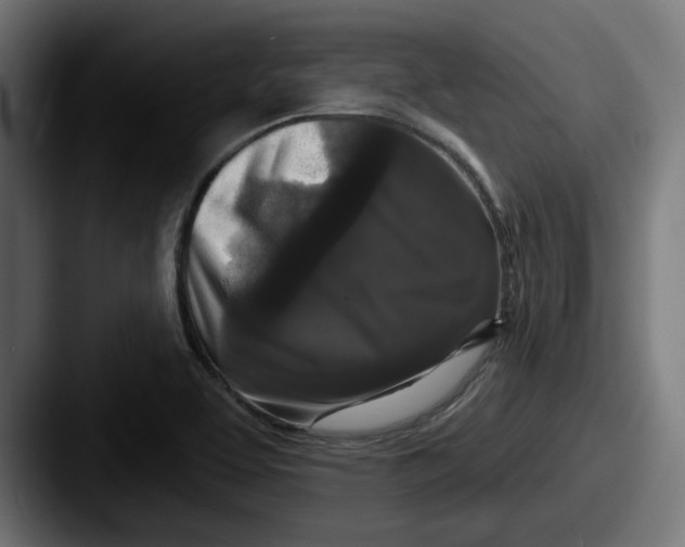 X0000087531463200705181022