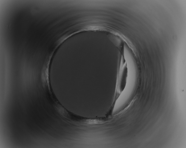 X0000087531465200705181022