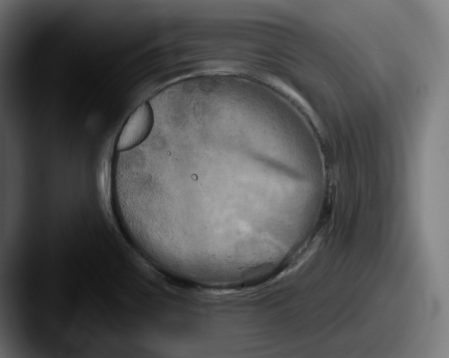 X0000087531467200705181021